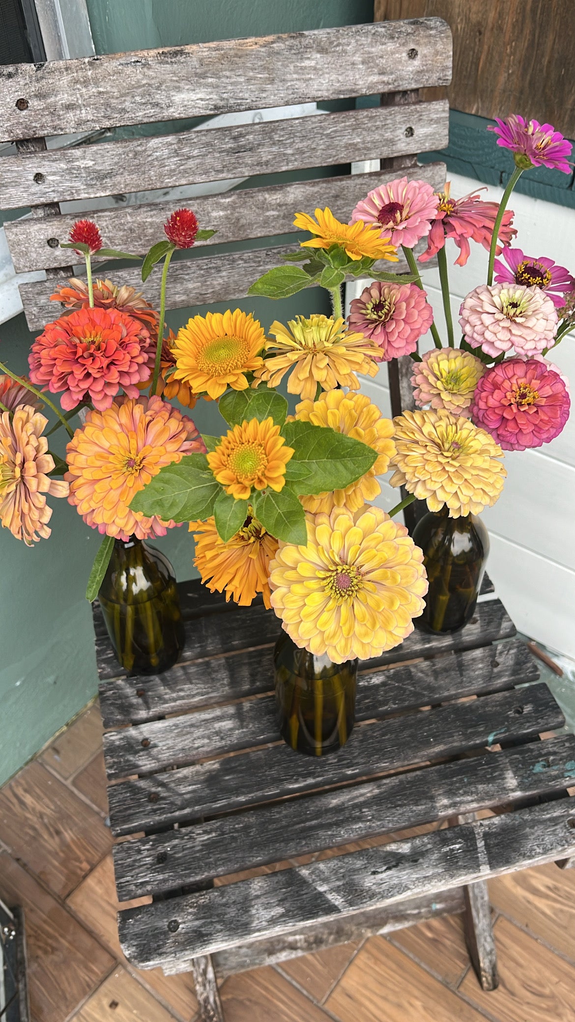Brown Bottle Blooms