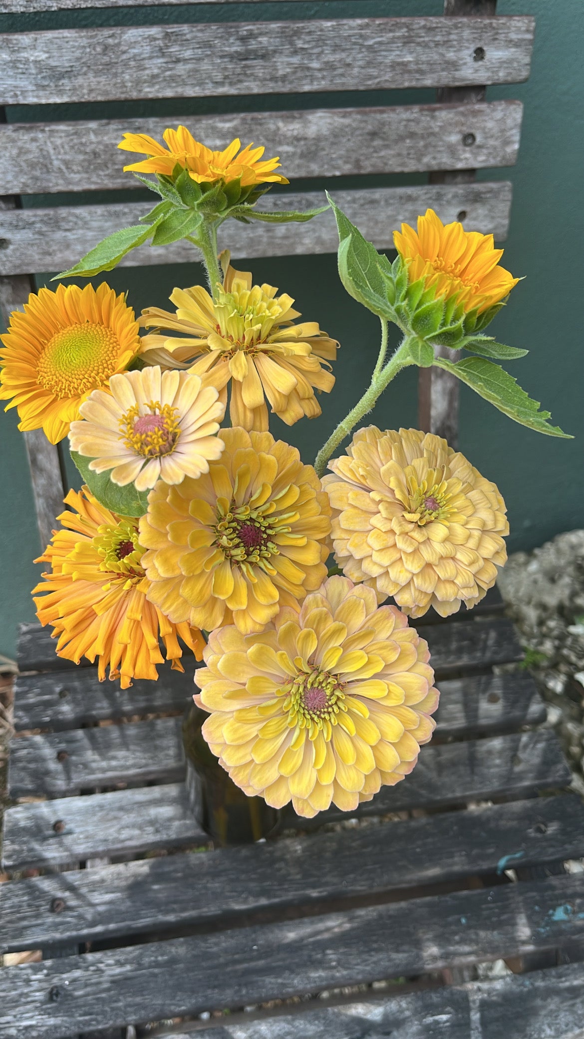 Brown Bottle Blooms