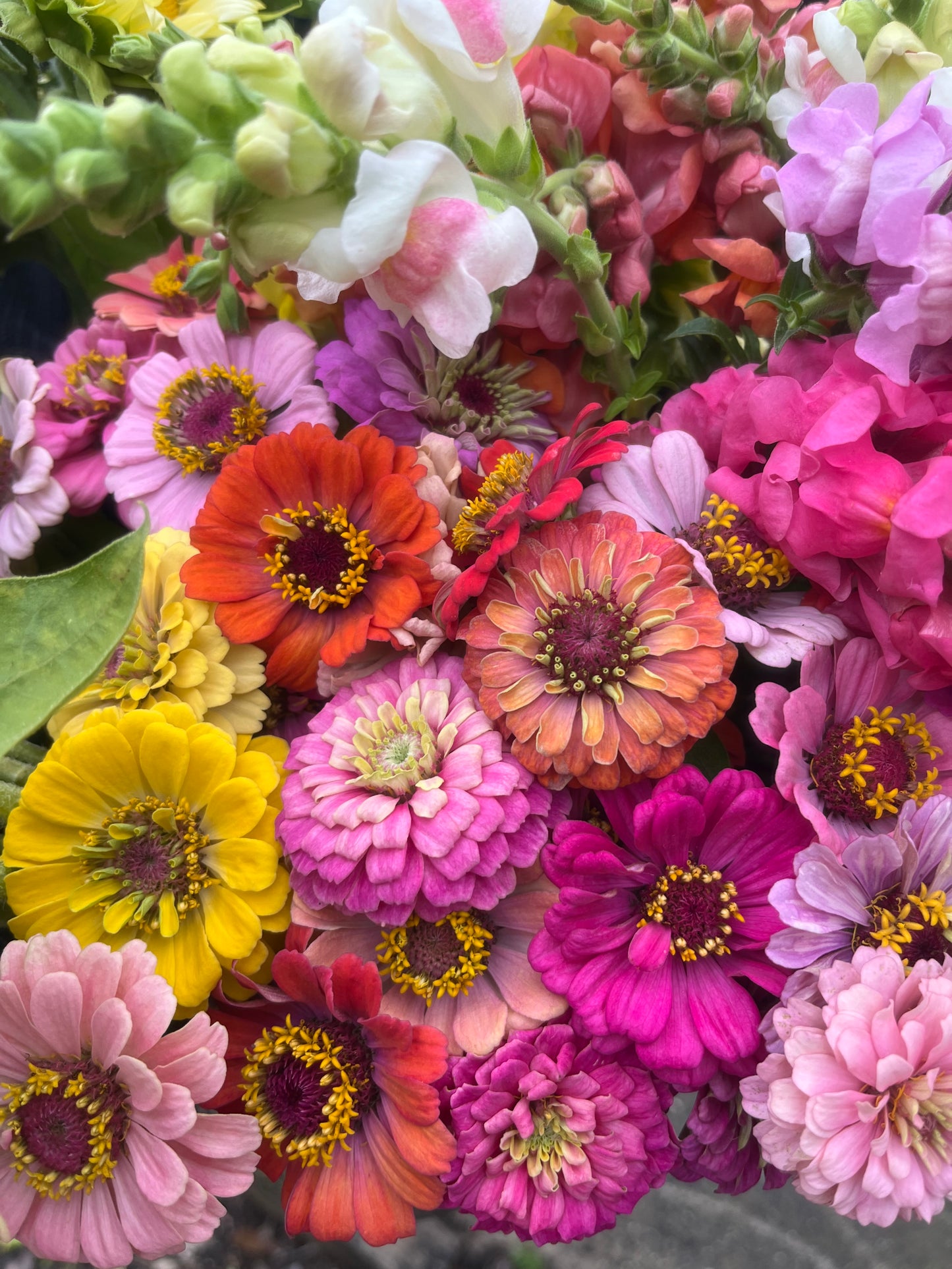 Bucket of Blooms