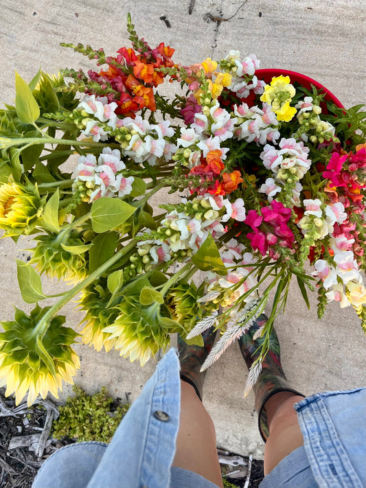Bulk Bucket of Blooms